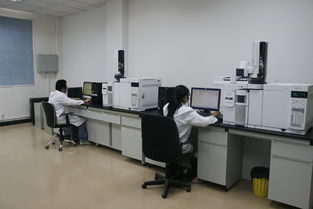 华科检测技术服务积极捐资支持新中学建设，助力信息技术咨询服务发展