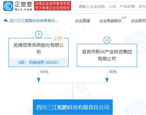 信息技术咨询服务的重要性与发展趋势